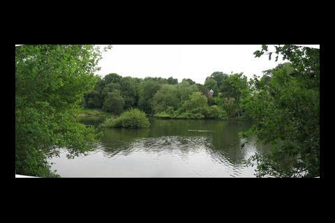 Hampstead Heath pond
